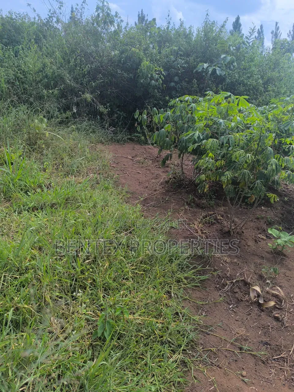 120 Acres for Sale in Nakaseke Kalagala Each Acre at 9m