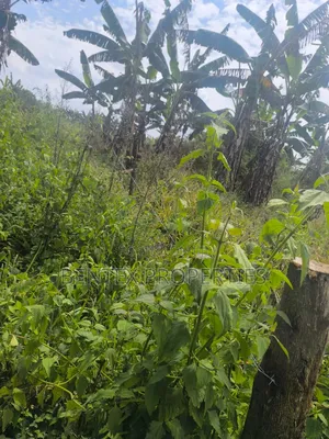 120 Acres for Sale in Nakaseke Kalagala Each Acre at 9m