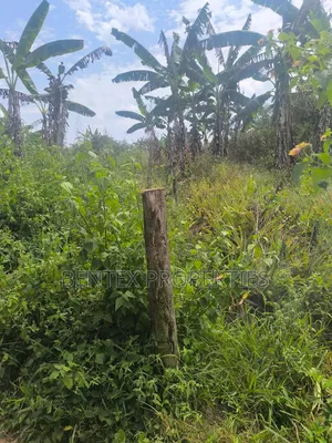 120 Acres for Sale in Nakaseke Kalagala Each Acre at 9m