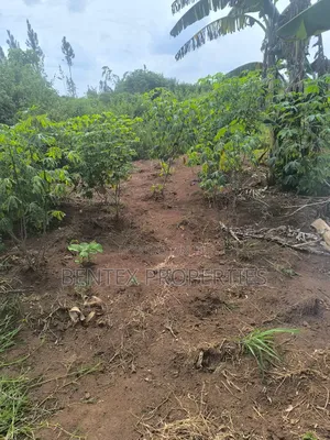 Fertile 54bacres for Sale in Kakooge Luweero Each at 9m
