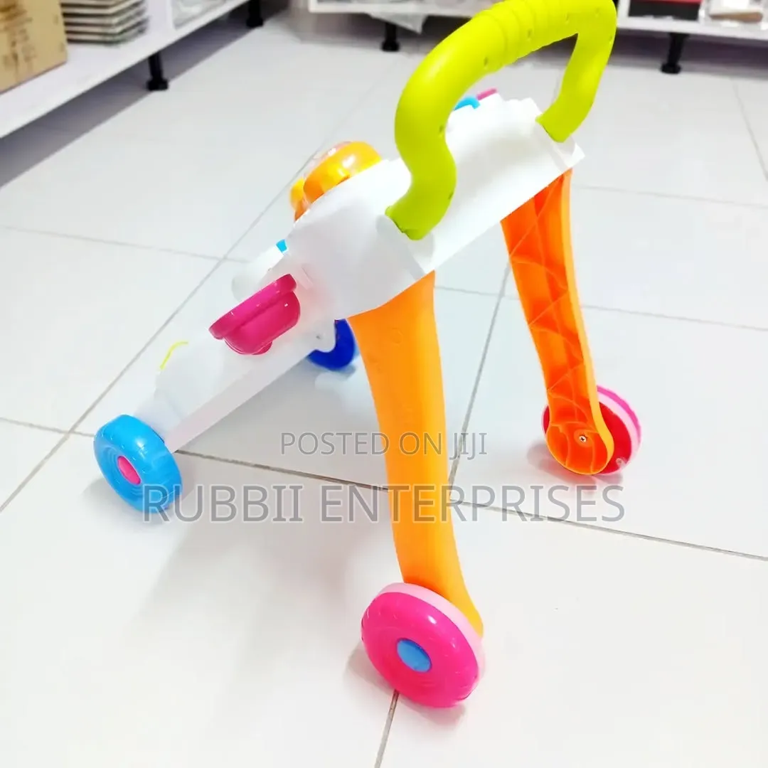 Multi-Functional Activity Walker