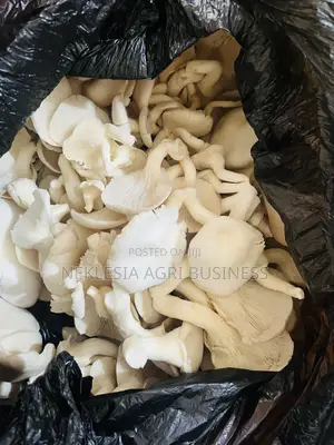Fresh Mushrooms- Whole Sale