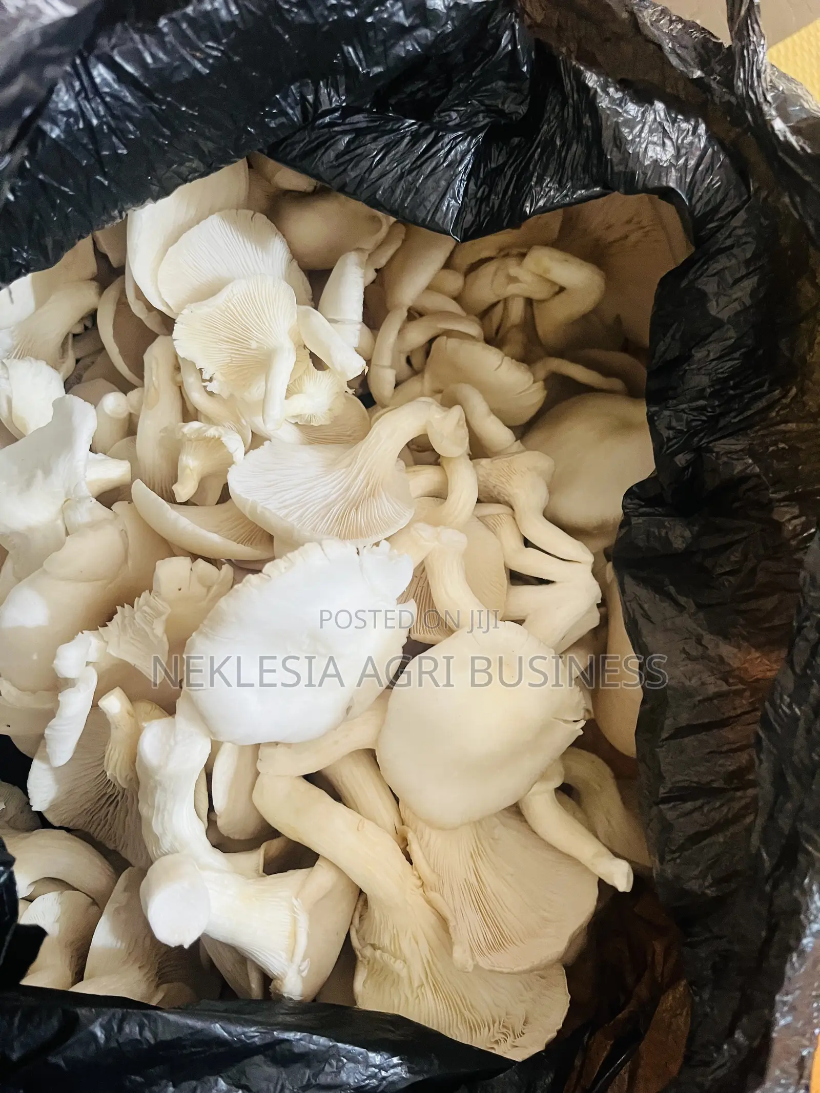Fresh Mushrooms- Whole Sale