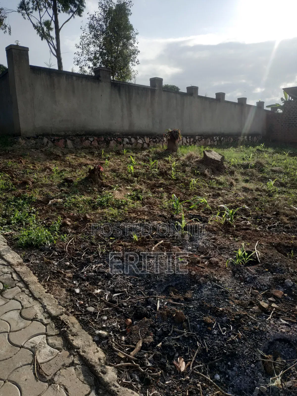 Plot for Sale