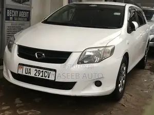 Toyota Corolla Fielder 2009 White