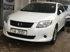 Toyota Corolla Fielder 2009 White