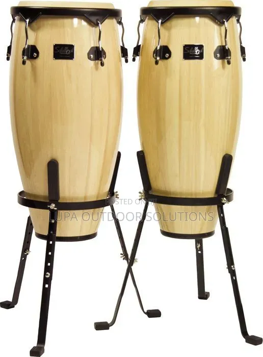 Conga Drums for Your Musical Band