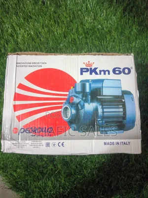 Water Pump Surface Peddrollo 0,5hp 40 Meters Italy Original Number 1