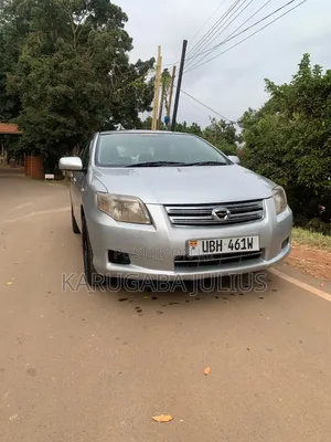 Toyota Axio 2006 Silver