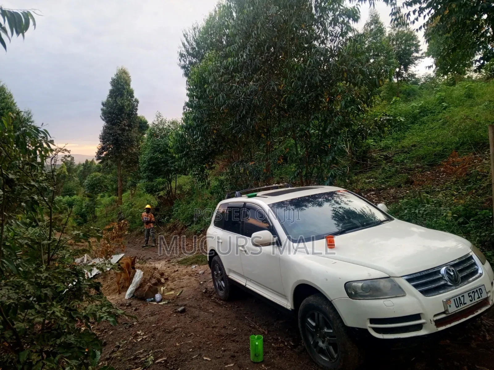 Volkswagen Touareg 2004 Silver