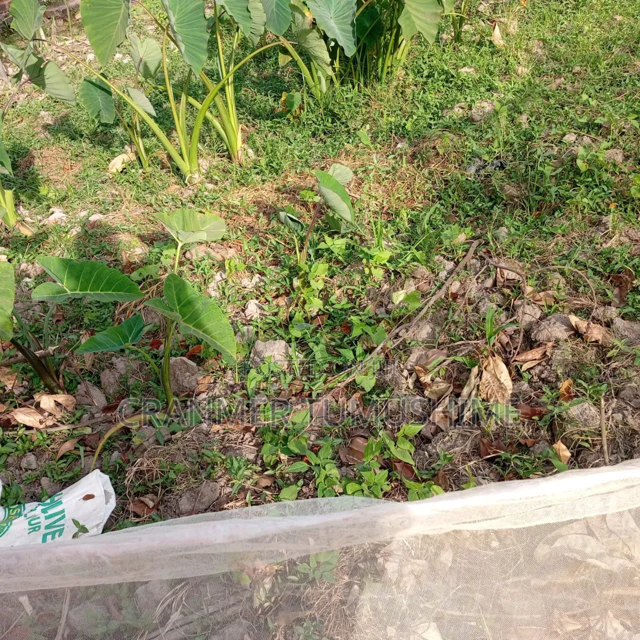 Land In Bweyogerere Bukasa For Sale