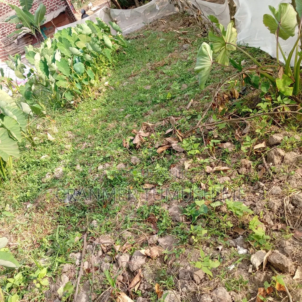 Land In Bweyogerere Bukasa For Sale