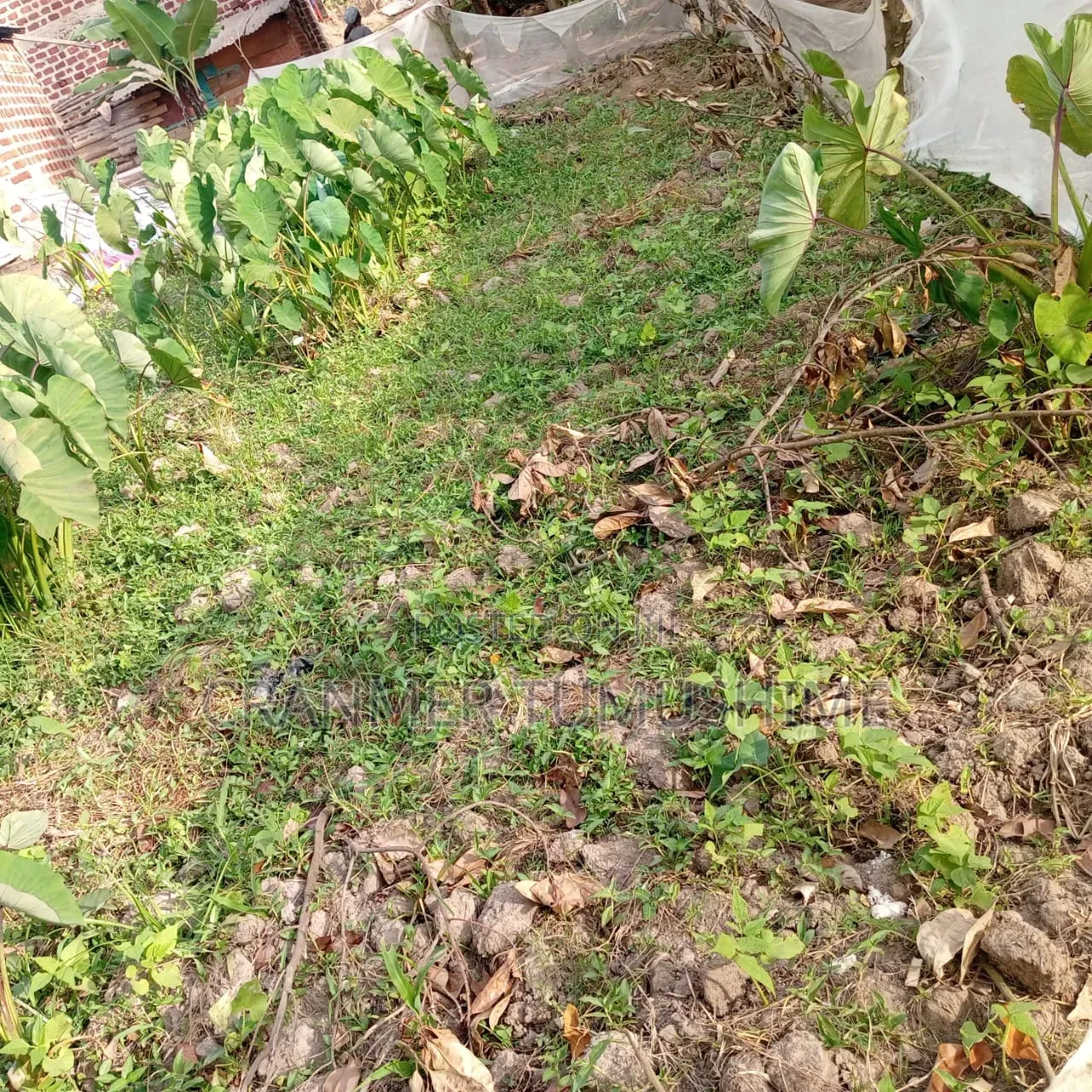 Land In Bweyogerere Bukasa For Sale