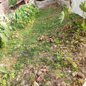 Land In Bweyogerere Bukasa For Sale