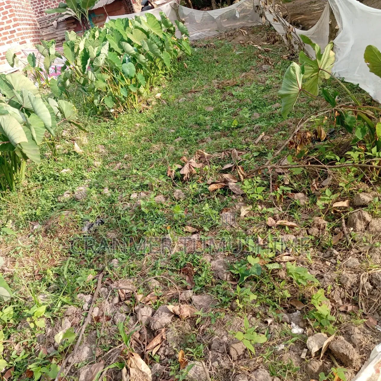 Land In Bweyogerere Bukasa For Sale