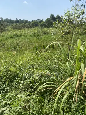 Land in Kigogwa Migade for Sale