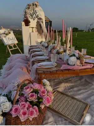 Bridal Shower Decor in Picnic Setup