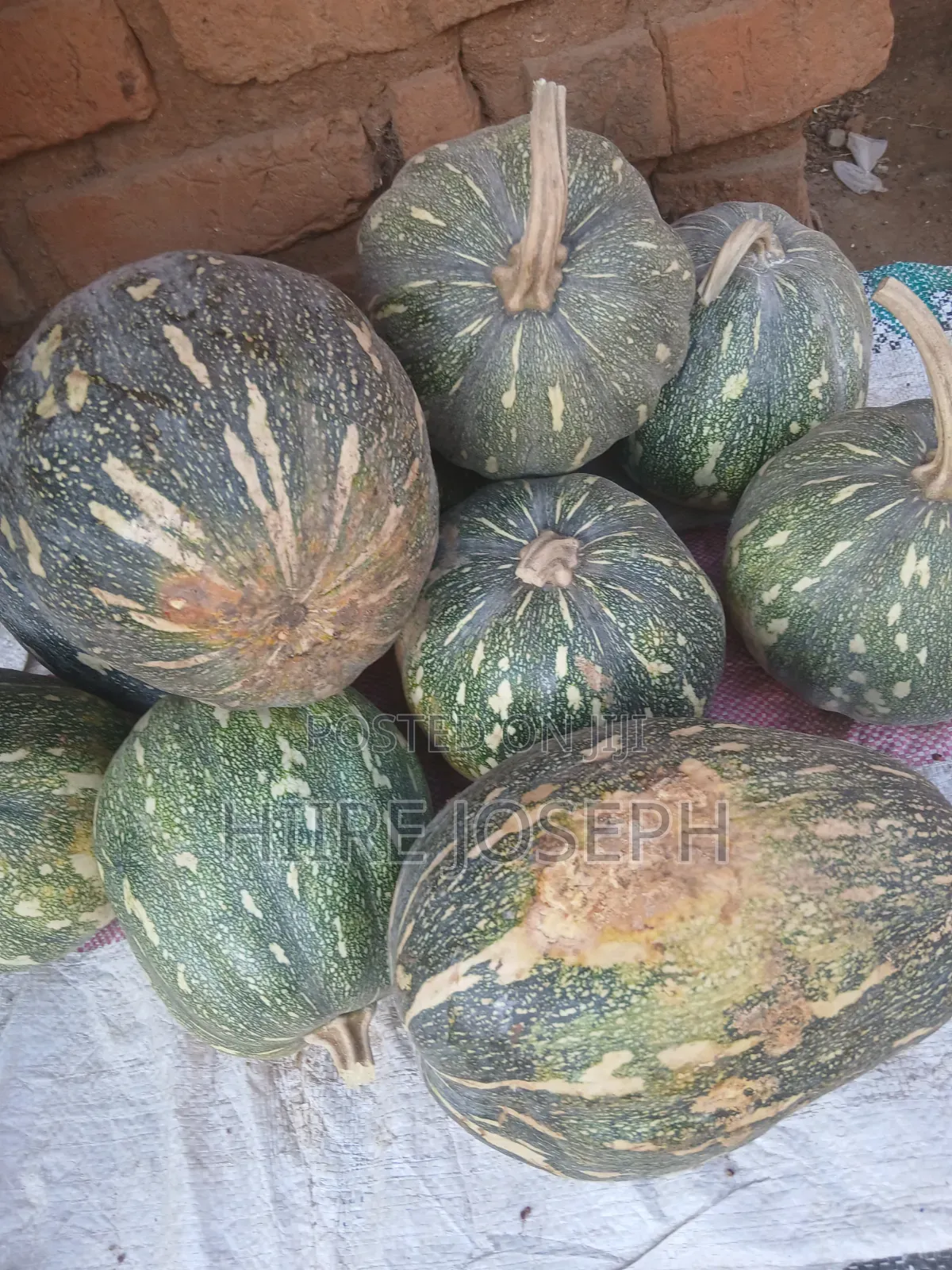 Pumpkins G
