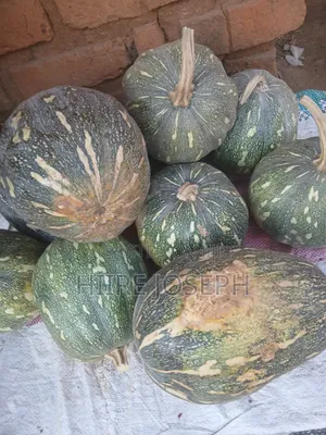 Pumpkins G