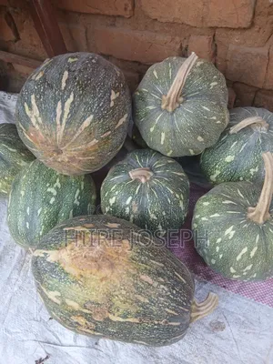Pumpkins G