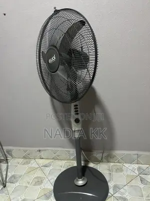Electric Fan