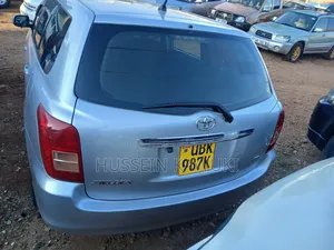 Toyota Corolla Fielder 2008 Silver