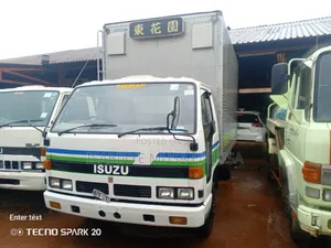 Isuzu E Lf Big Head Box Body