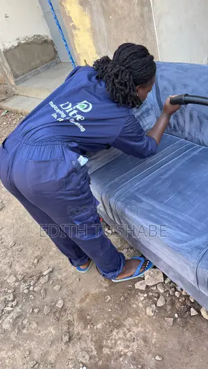 Sofa Cleaning