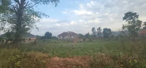 Land on Sale