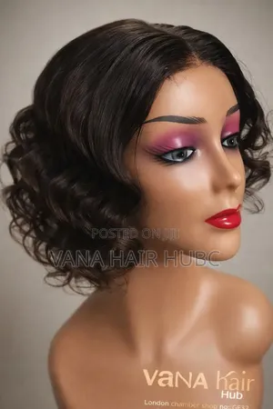 Wig ( With 2 by 4 Lace)