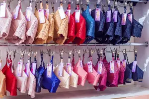 Savana Plus Size Bras