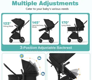 2 in 1 Convertible Baby Stroller