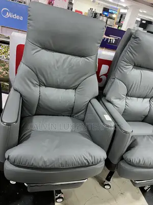 Office Cushion Boss Chair