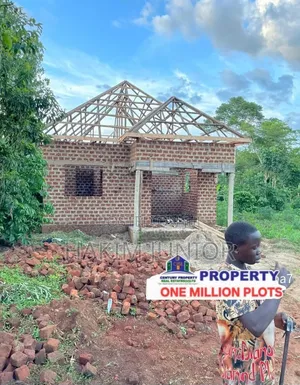 Real Estate Agent