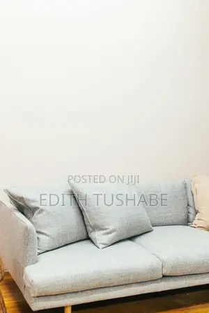 Sofa Cleaning