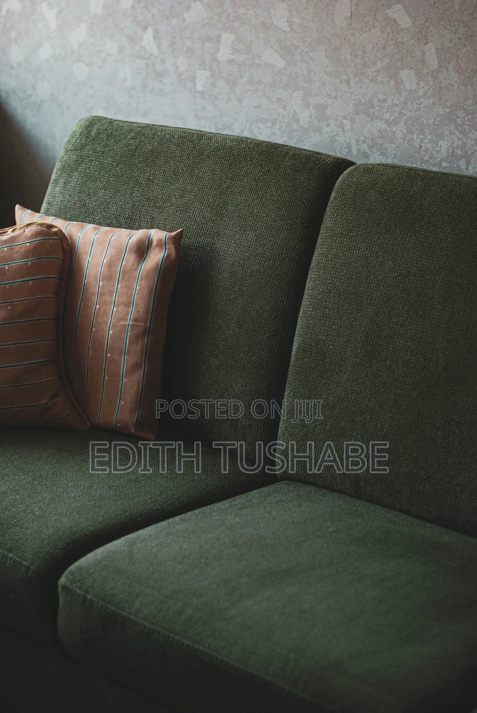 Sofa Cleaning