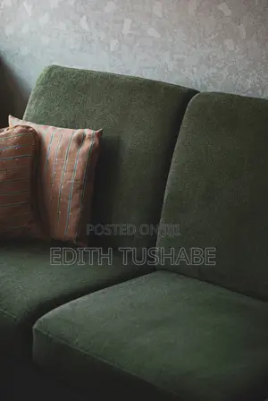 Sofa Cleaning