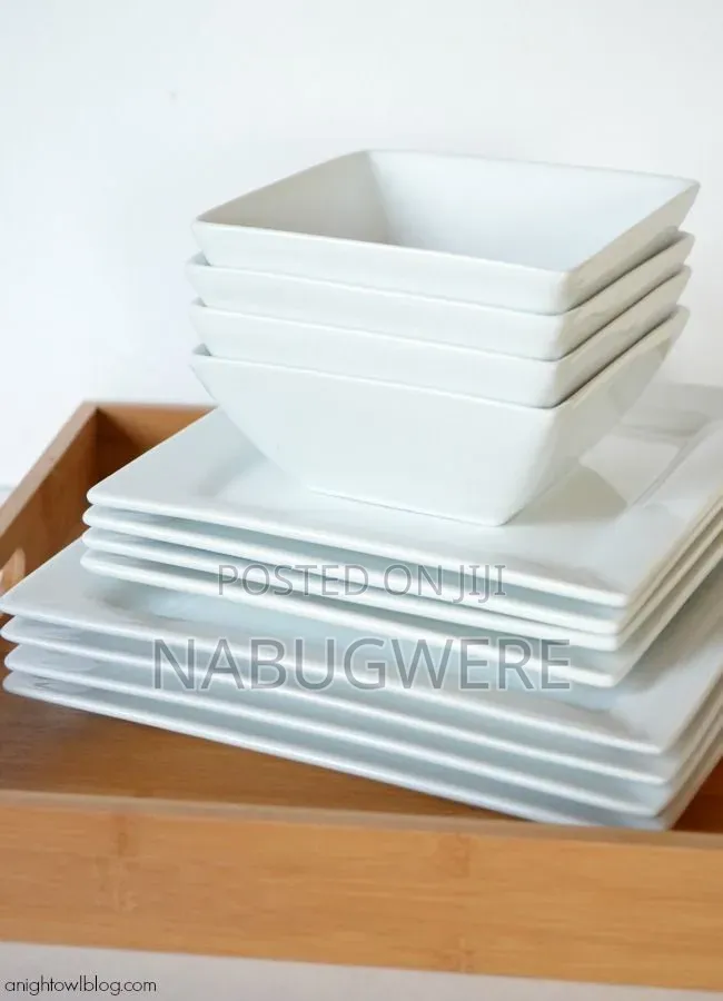 Ceramic Dinner Plates