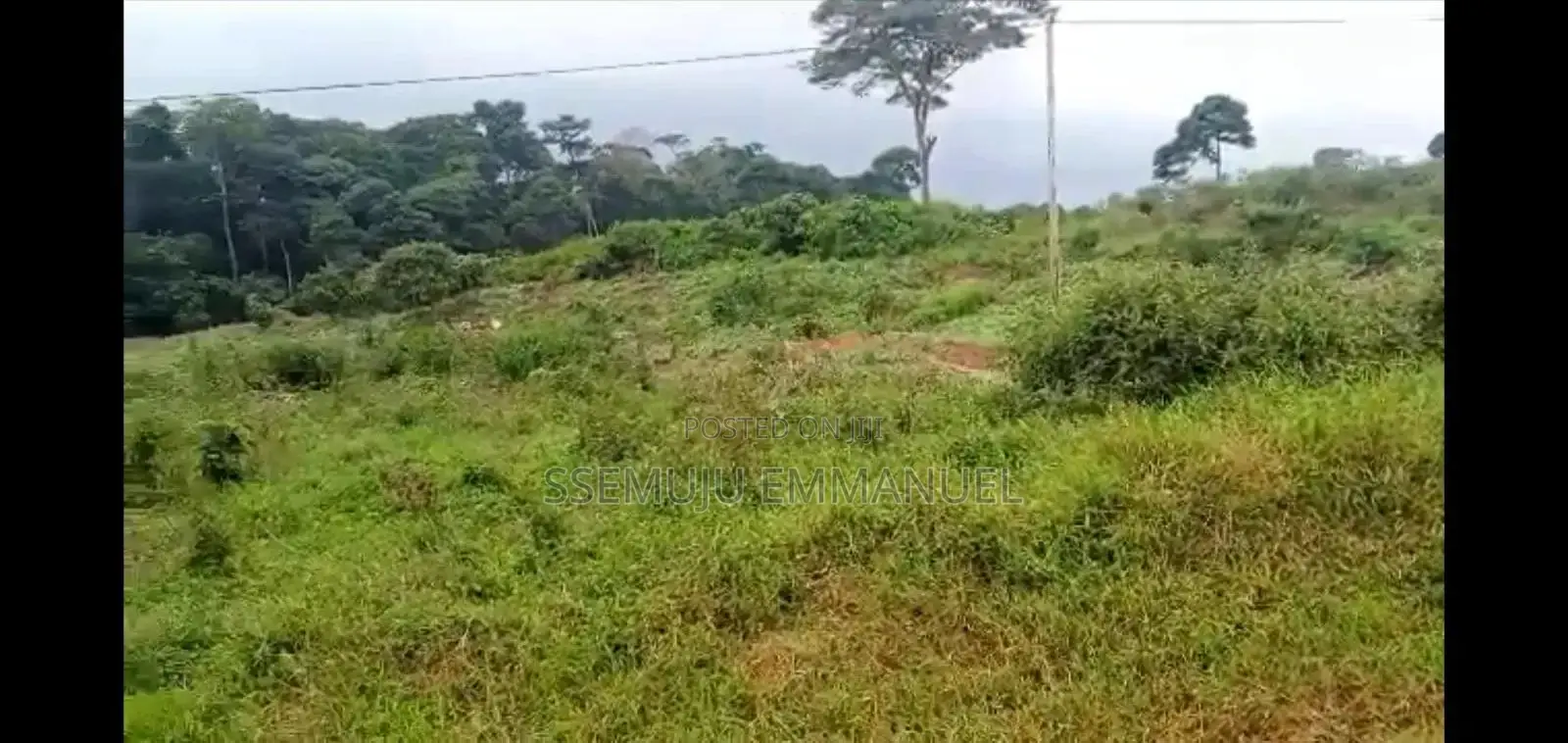 1.5 Acres of Land With Title at Bugoma Kalangala