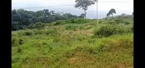 1.5 Acres of Land With Title at Bugoma Kalangala
