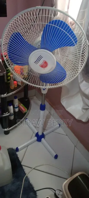 Changli Fan