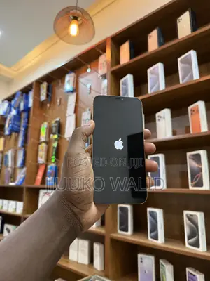Apple iPhone 12 Pro Max 128 GB Gold