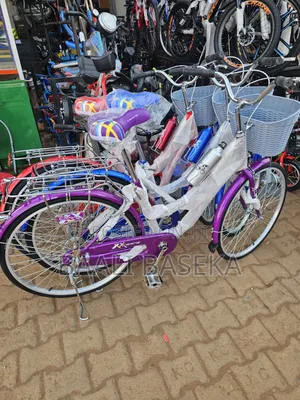 Decent People Bicycle