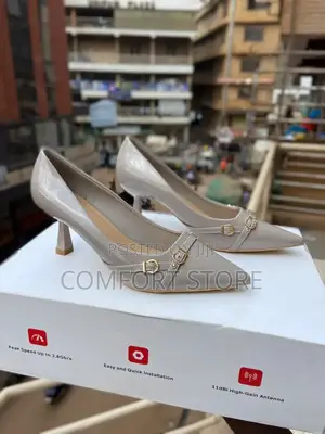 Shinny Pointed Ladies Heels