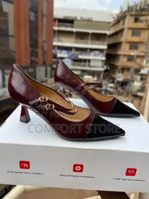 Pointed Heel With Two Colors for Classic Ladies