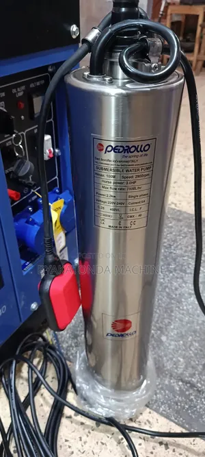 Pedrollo Submersible Water Pump