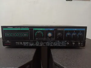 Victor Amplifier With Digital Echo
