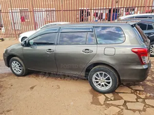 Toyota Corolla Fielder 2009 Gray