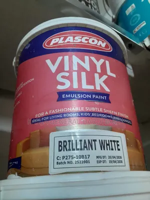 Vinyl Silk Paint 20l