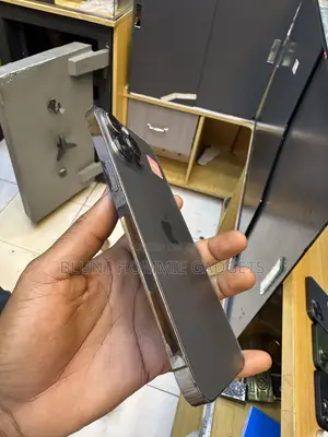 Apple iPhone 12 Pro Max 256 GB Gray